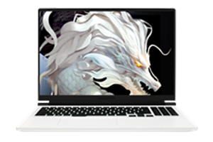 机械革命蛟龙16Pro 4060&70 原厂Windows 11 23H2 恢复系统镜像